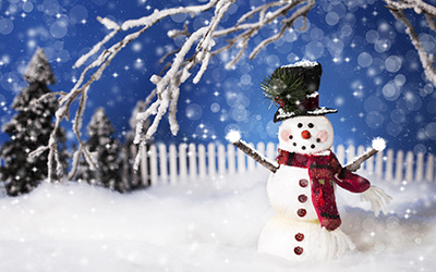 winter scene with snowman